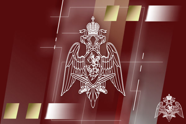 Личный состав Росгвардии поздравляет главу ведомства с присвоением звания Героя России