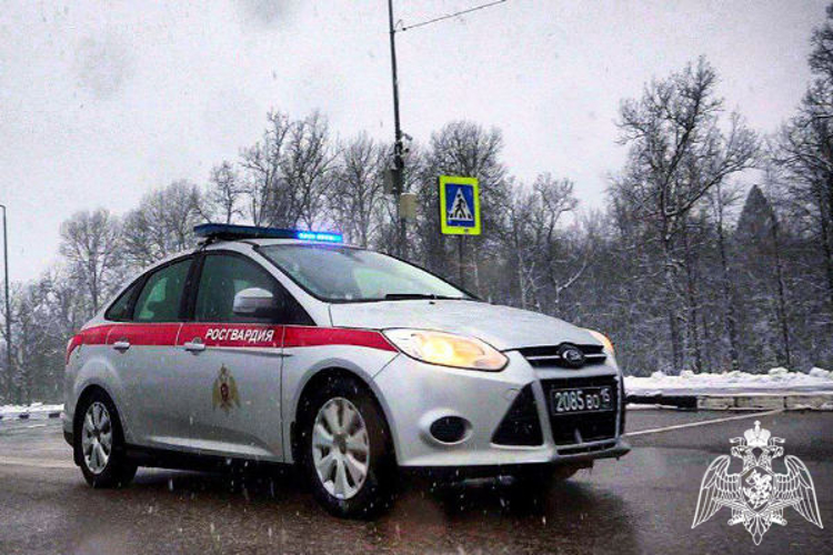 В Воскресенске сотрудники Росгвардии по горячим следам задержали подозреваемого в краже дорогостоящего алкоголя из супермаркета