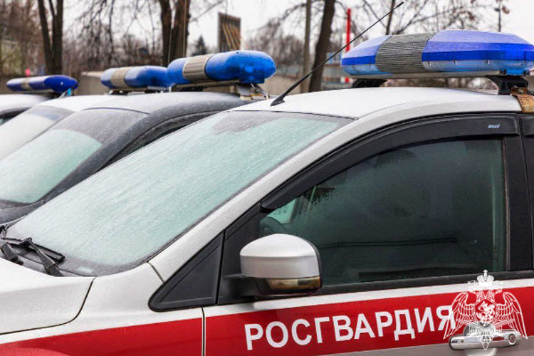 В Подмосковье сотрудники Росгвардии задержали гражданина, подозреваемого в краже из сетевого строительного гипермаркета