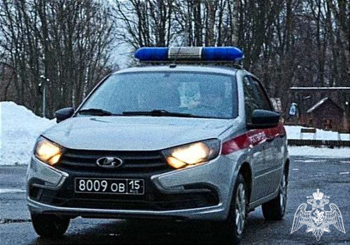 В Воскресенске сотрудники Росгвардии задержали двоих граждан, подозреваемых в ранее совершенной краже из гипермаркета