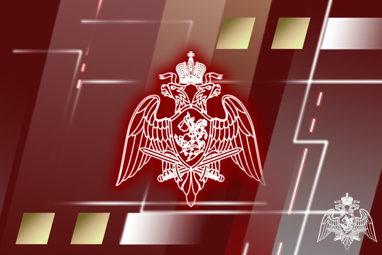 Приняты новые законы, регулирующие частную детективную и охранную деятельность