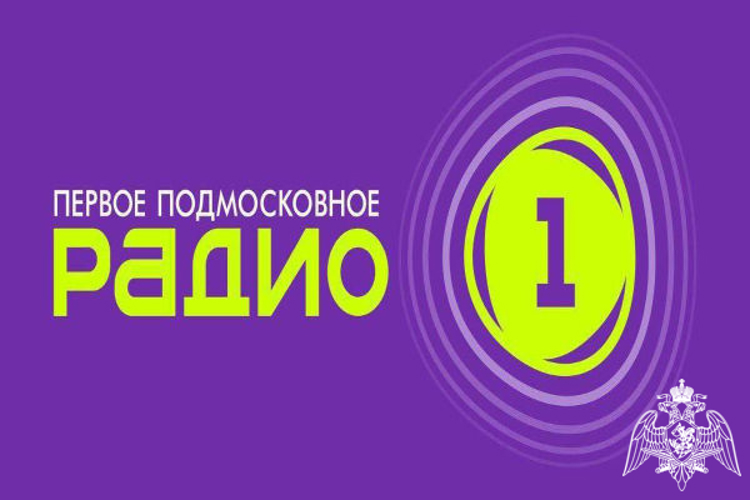 В эфире "Радио 1" выступил заместитель начальника УВО Росгвардии по Московской области полковник полиции Игорь Кирсанов