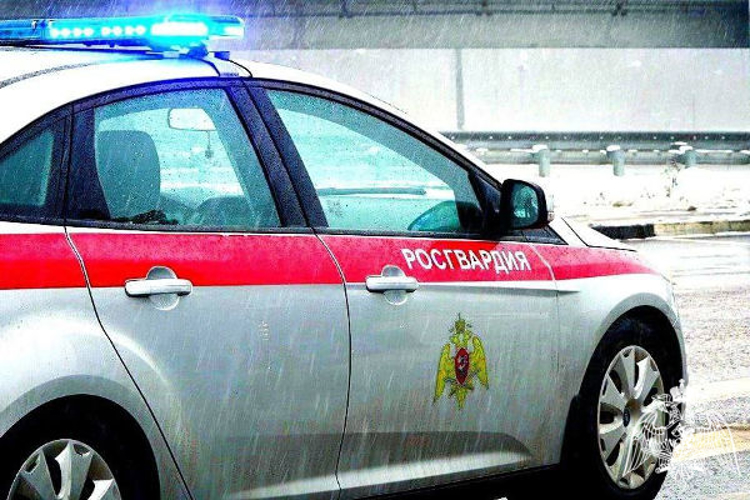 В Котельниках сотрудники Росгвардии задержали гражданина, подозреваемого в краже верхней одежды из магазина (видео)