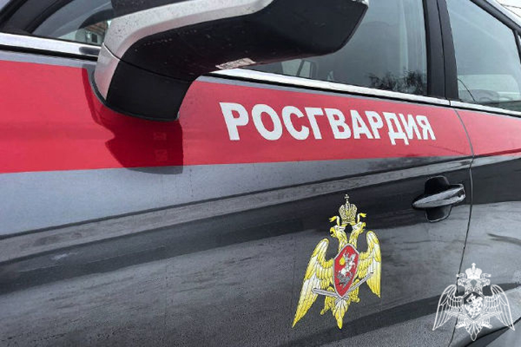 В период новогодних праздников подмосковные росгвардейцы выезжали более 2000 раз по сигналам «Тревога» с охраняемых объектов