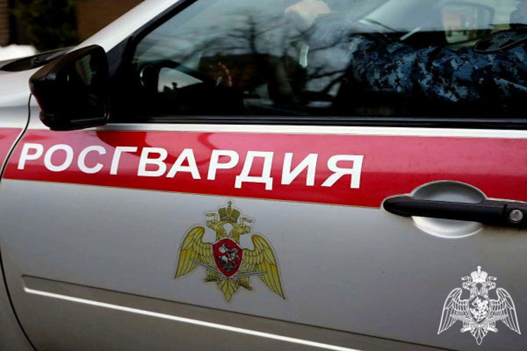 В Подмосковье сотрудники Росгвардии задержали подозреваемую в краже дорогостоящих товаров из сетевого супермаркета