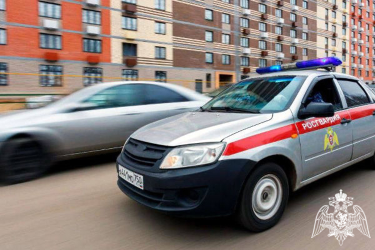 В подмосковном Ступино сотрудники Росгвардии помогли мужчине, внезапно почувствовавшему себя плохо на оживленном перекрестке (видео)