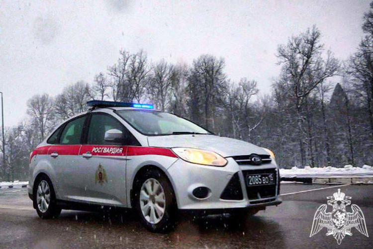 Подмосковные росгвардейцы задержали молодого человека, подозреваемого в краже более 30 различных товаров из магазина