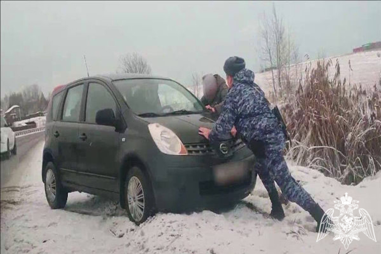 В Подмосковье росгвардейцы помогли женщине-водителю, попавшей в сложную дорожную ситуацию (видео)