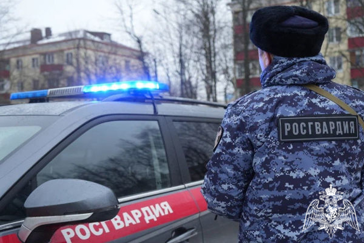 В Московской области сотрудники Росгвардии задержали подозреваемого в незаконном обороте наркотиков в крупном размере