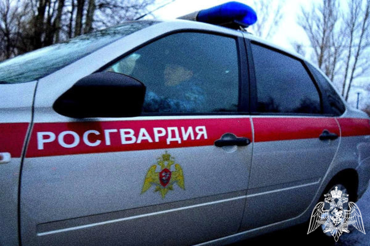 В Подмосковье сотрудники Росгвардии пресекли кражу товаров из гипермаркета