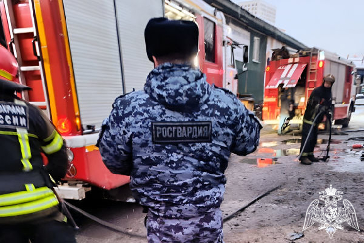 В подмосковном Дрожжино росгвардейцы оказали помощь сотрудникам МЧС в ликвидации возгорания в автосервисе (видео)