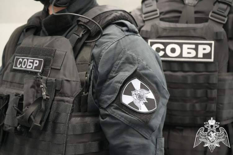 В Подмосковье при силовой поддержке Росгвардии задержан подозреваемый в вымогательстве миллиона рублей
