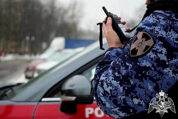 В Подмосковье сотрудники Росгвардии задержали подозреваемого в краже дорогостоящей техники из квартиры своего знакомого