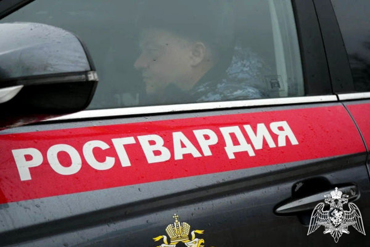 В Подмосковье сотрудники Росгвардии задержали подозреваемого в незаконном проникновении на территорию аптечного пункта