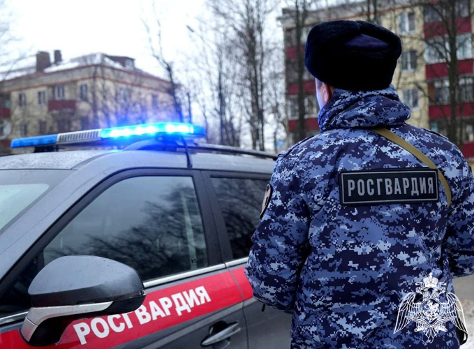 Подмосковные росгвардейцы задержали подозреваемого в краже одежды из гипермаркета