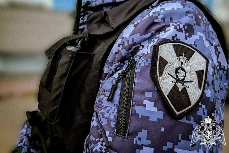 В Подмосковье сотрудники Росгвардии задержали гражданина, объявленного в федеральный розыск