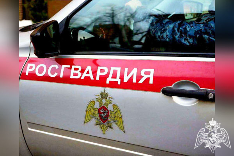 В Ногинске росгвардейцы задержали мужчину, который украл у сотрудницы торгового объекта рюкзак