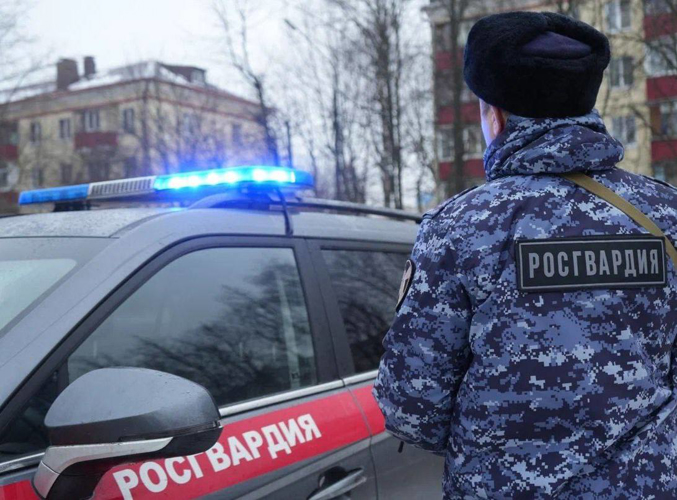 Сотрудники Росгвардии задержали гражданина, подозреваемого в хулиганстве на территории подмосковного торгового центра