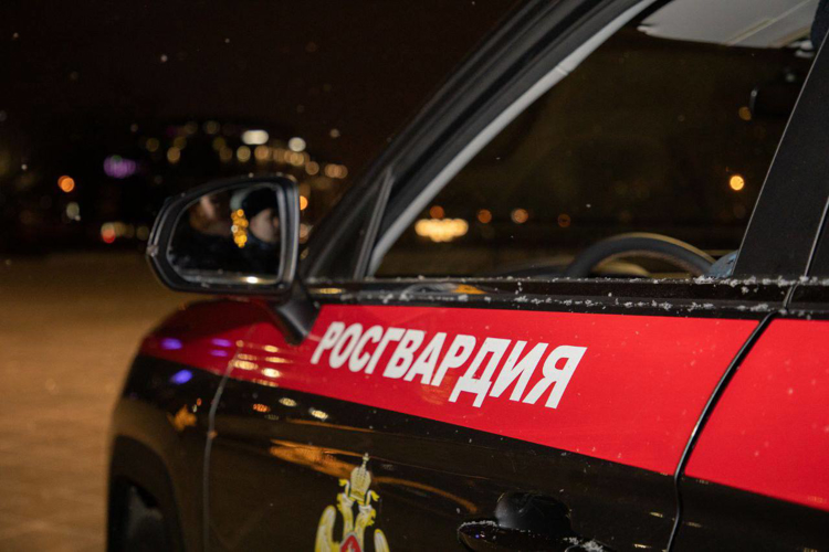 В Королеве сотрудники Росгвардии по горячим следам задержали подозреваемого в краже чужого мобильного телефона