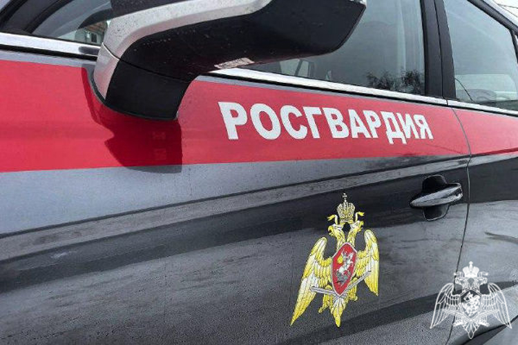 За прошедшую неделю подмосковные росгвардейцы выезжали более 2090 раз по сигналам «Тревога» с охраняемых объектов 
