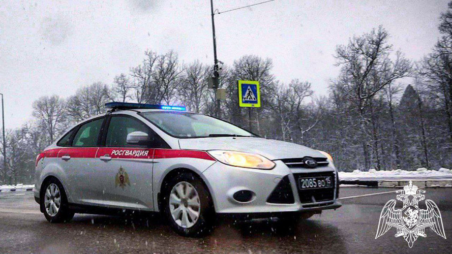 Сотрудники Росгвардии задержали подозреваемого в краже электроприборов из универмага в Подмосковье 