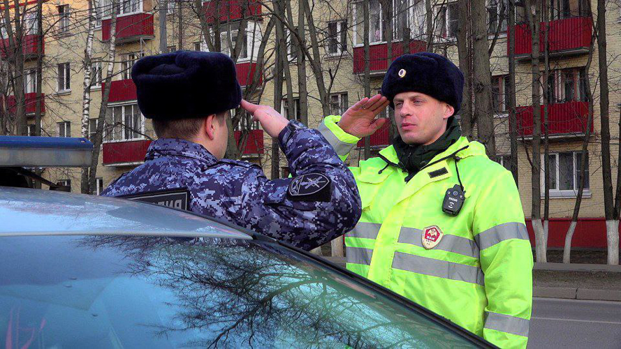 Специалисты военной автомобильной инспекции подмосковного главка Росгвардии отмечают свой профессиональный праздник (видео)