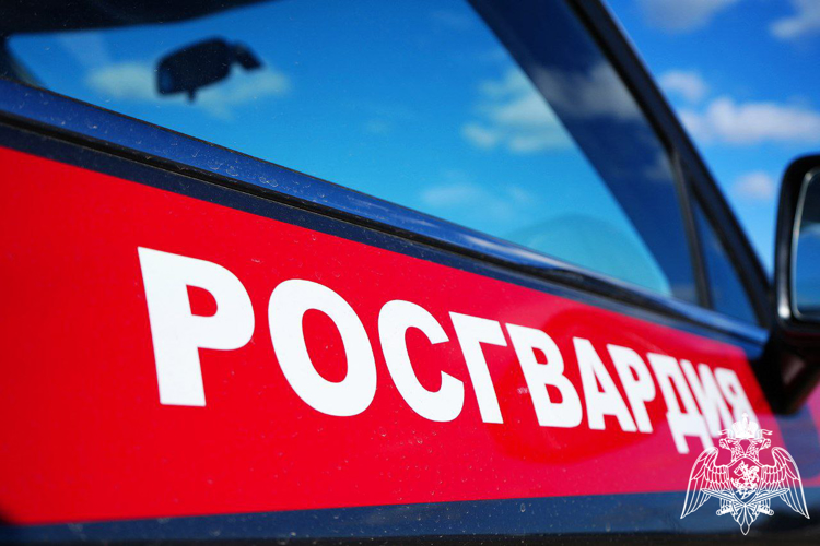 Подмосковные росгвардейцы задержали семейную пару, подозреваемую в краже товаров из гипермаркета