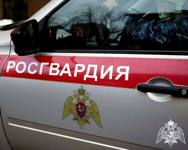 В Московской области росгвардейцы задержали гражданина, подозреваемого в совершении грабежа