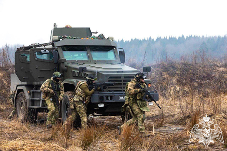 Сотрудники подмосковного СОБР «Булат» Росгвардии провели тренировку в полевых условиях