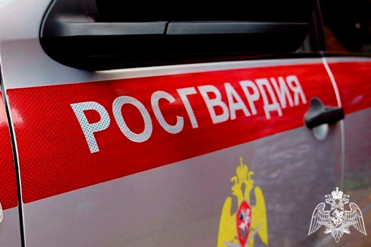 С начала года сотрудники Росгвардии более 27 тысяч раз выезжали на охраняемые объекты по сигналу «Тревога» 