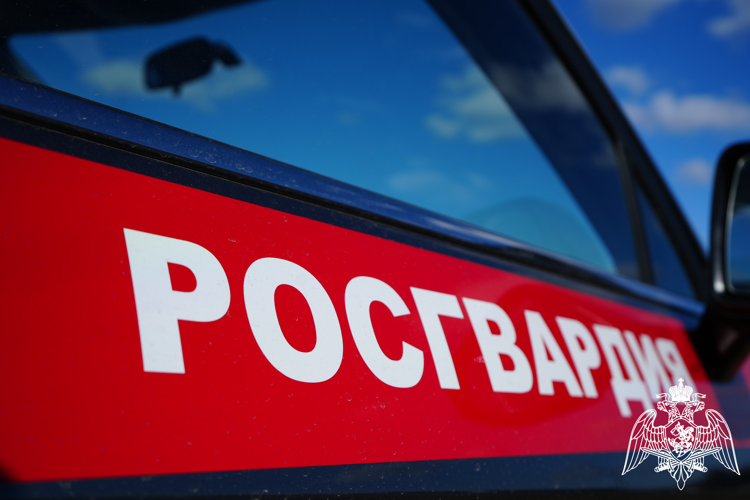 С начала года подмосковные росгвардейцы выезжали более 27000 раз по сигналам «Тревога» с охраняемых объектов