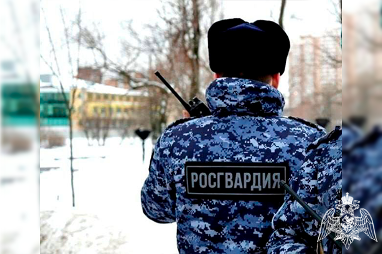 Сотрудники Росгвардии задержали подозреваемого в краже более 35 различных товаров из магазина в Подольске
