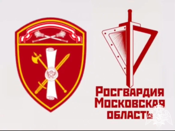 Главное управление Росгвардии по Московской области обращает внимание владельцев оружия на соблюдение правил его хранения, ношения и использования (Видео)