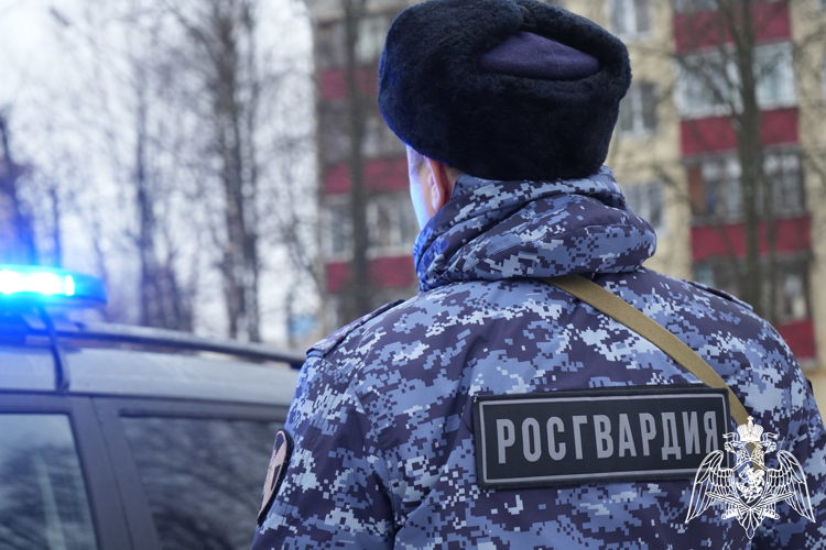 Сотрудники Росгвардии задержали гражданина, который нанес телесные повреждения своей супруге в Подмосковье