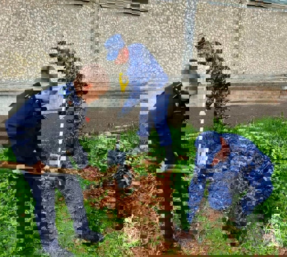 В Подмосковье сотрудники Росгвардии приняли участие в патриотической акции “Лес Победы”