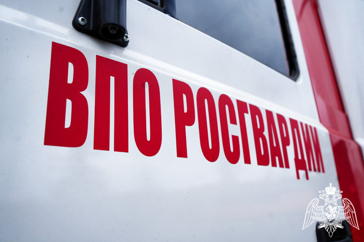 Специалисты инспекции пожарной безопасности подмосковного главка Росгвардии отмечают день образования подразделения