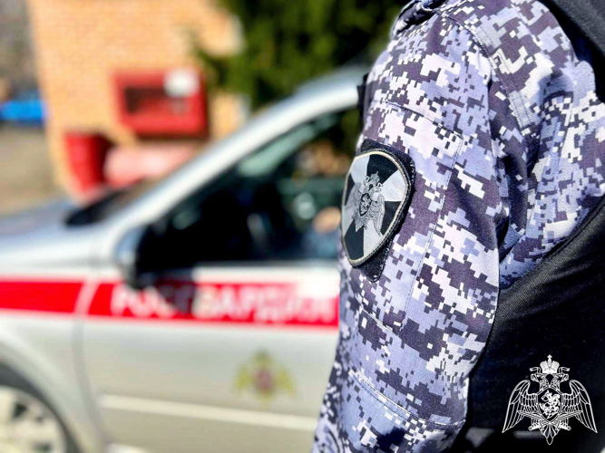 В Московской области росгвардейцы задержали гражданина, находившегося в федеральном розыске (видео)