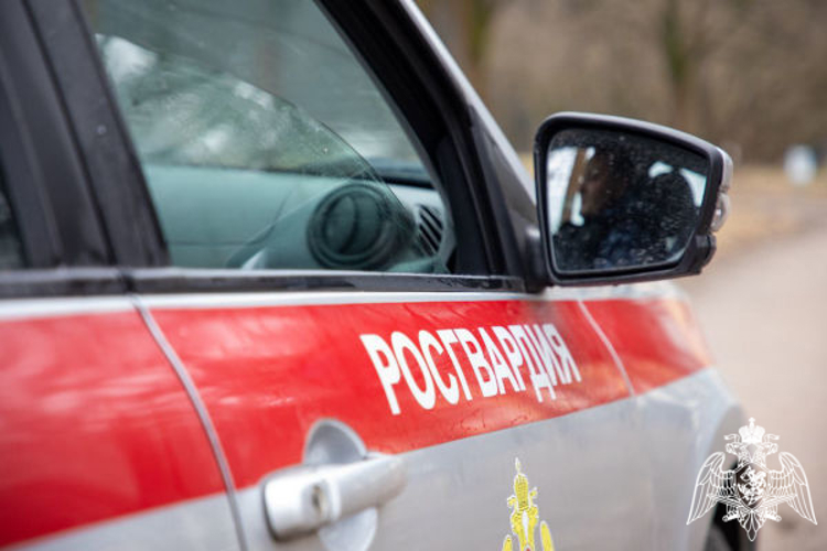Сотрудники Росгвардии задержали рецидивиста, совершившего разбойное нападение в Подмосковье (видео)