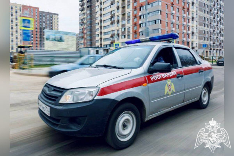 Росгвардейцы задержали подозреваемого в нескольких фактах кражи в Подмосковье