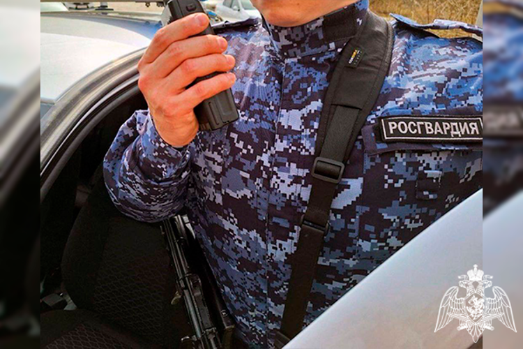 Подмосковные росгвардейцы задержали подозреваемого в незаконном обороте наркотиков в крупном размере (видео)