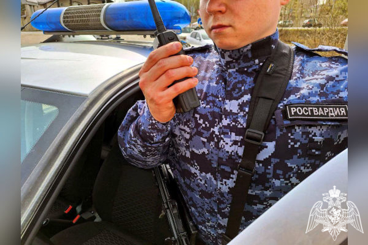 Подмосковные росгвардейцы по приметам задержали рецидивиста, совершившего грабёж (видео)