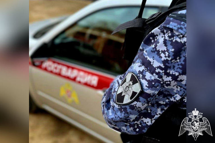 Подмосковные росгвардейцы задержали подозреваемого в незаконном обороте наркотиков в крупном размере (видео)