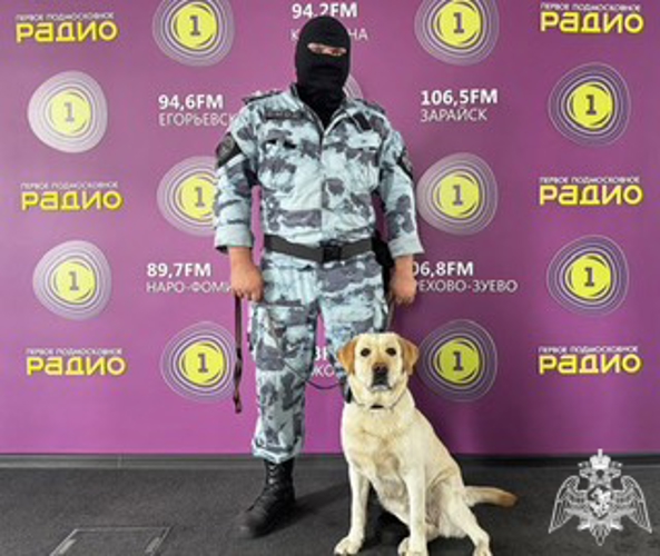 Кинолог ОМОН «Русич» и его четвероногий напарник по кличке Люсиль стали гостем «Радио 1»