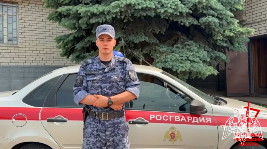 Подмосковные росгвардейцы задержали подозреваемую в краже из сетевого магазина (видео)