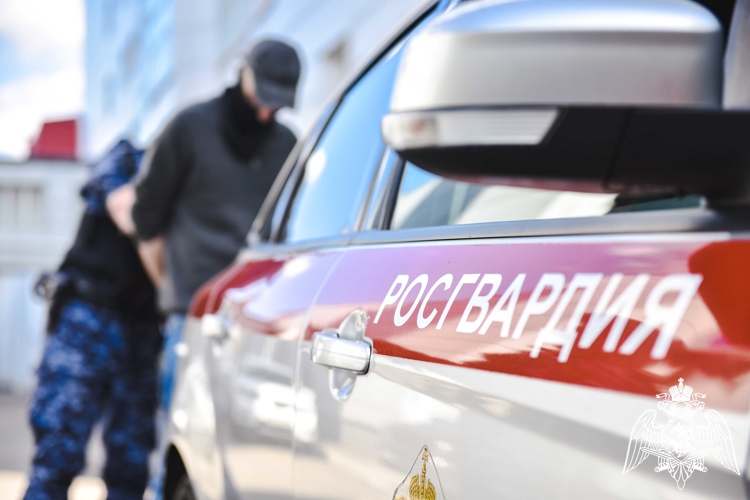 В Подмосковье росгвардейцы задержали рецидивиста, подозреваемого в нанесении ножевых ранений (видео)