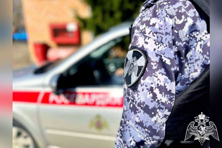 В Подмосковье росгвардейцы задержали рецидивиста, подозреваемого в разбойном нападении