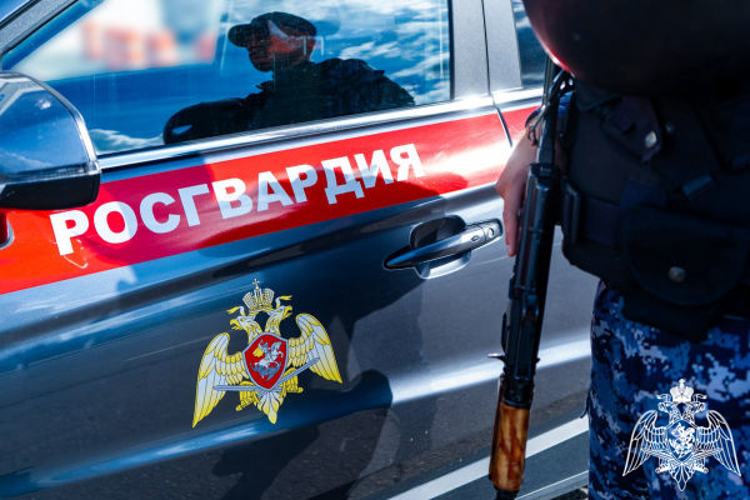 Росгвардейцы пресекли распространение наркотиков в крупном размере в Подмосковье (видео)