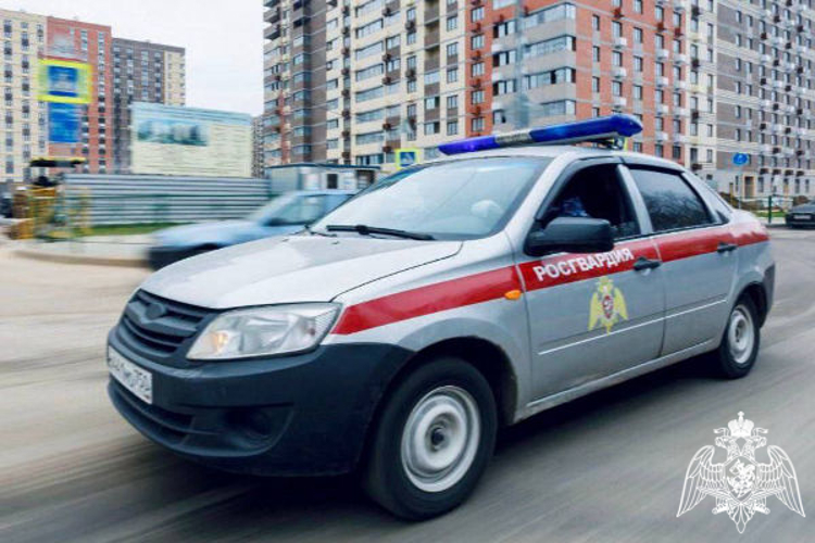 В Подмосковье сотрудники Росгвардии задержали подозреваемого в нанесении ножевого ранения (видео)