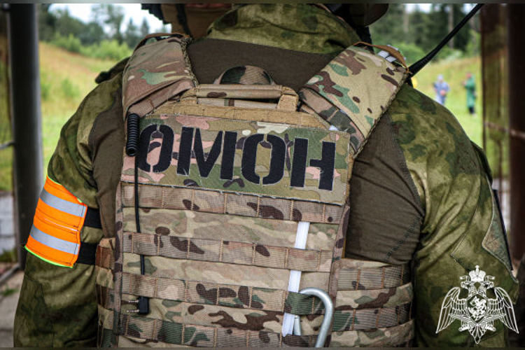 В Подмосковье при силовой поддержке спецназа Росгвардии задержаны подозреваемые в пособничестве телефонным мошенникам (видео)