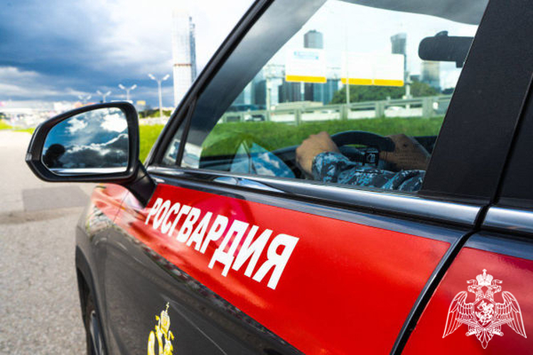В Подмосковье росгвардейцы задержали подозреваемого в нанесении ножевого ранения (видео)